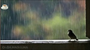 Жизнь — она одна … Наталья Кислощук__Life is one ...