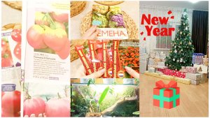 Готовлюсь к Новому году. Купила семена. У нас прибавление. Листаю каталоги и сравниваю цены.