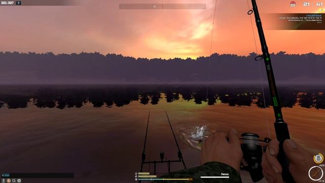 Fisher Online ДОН КАРАСЬ ЗОЛОТОЙ смотреть онлайн