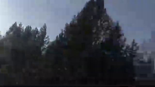 Прогулка по зимнему таежному лесу