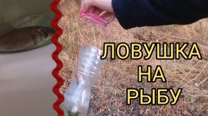 Ловушка для рыбы
