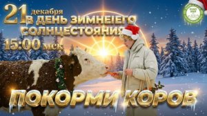 Кормление коров 21 декабря, в 15:00 мск, в день Зимнего солнцестояния, Планета коров