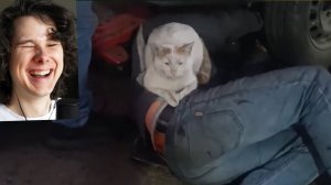 653 СЕКУНД СМЕХА ( Виндяй)