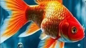 2026--РЫБЫ(таро)