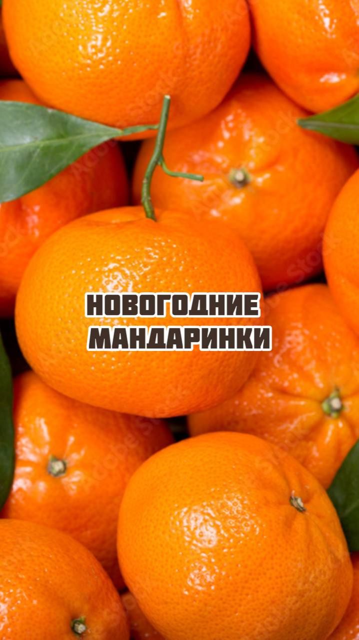 Новогодние мандаринки смотреть онлайн