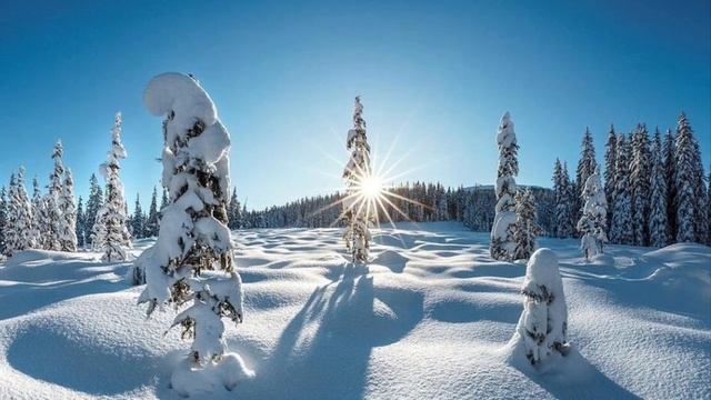 ♫.. J.S. Bach - _Siciliano_ , Sonate NO. 2. Bwv 103]  - Szentpéteri Csilla смотреть онлайн