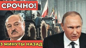 Санкции против Беларуси как политическое давление обернулось кризисом для Литвы и Польши