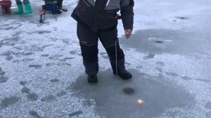 поимка форели на пасту