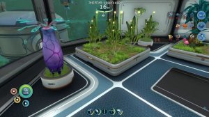 Запись_2025_12_21_21_41_26_767