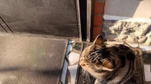 Ждали и скучали