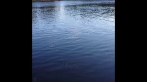 Много ль надо мужику - Виталий Гасаев. Речки Соломбалка и Заостровка