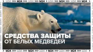 Испытания средств для защиты от белых медведей прошли в Ненецком автономном округе - Москва 24
