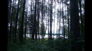 Нужен профессионал