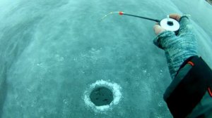 Трофейный первый лед.Жерлицы не давали скучать.первый лед 2025-2026