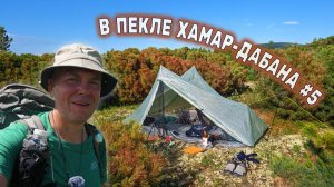 ТЕПЛОВОЙ УДАР копытом болотной низины. Проснулся на сковороде ХАМАР-ДАБАНА. ДЕНЬ 3 СЕРИЯ 5