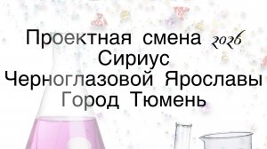 Проект Черноглазовой Ярославы на проектную смену 2026 в Сириус (г.Тюмень, гимназия ТюмГУ)
