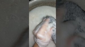 кайф хвойный