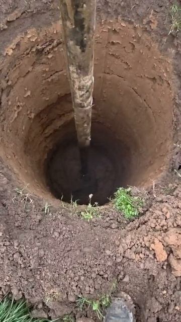 b7ca7d97-e7ae-4d03-b00e-3ca2e1c065d0 смотреть онлайн