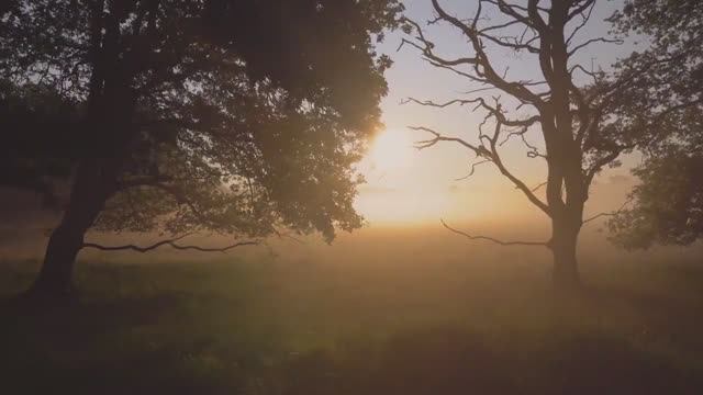 🎶 ЧТО С НАМИ СЛУЧИЛОСЬ ?