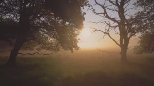 🎶 ЧТО С НАМИ СЛУЧИЛОСЬ ?