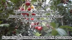Садовлды Железов В.К. и Попов Н.В. Архангельская обл.- в добрый путь !!! Серия №1.