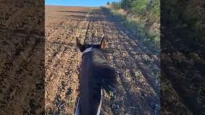 золотые слова👍👍👍