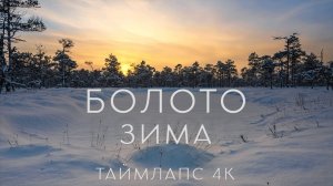 Болото. Зима. Таймлапс 4К