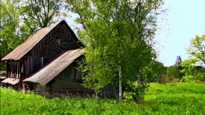 Летним днём