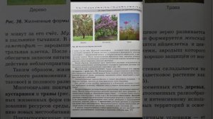 Биология 7 класс 9 параграф под ред. В.В. Пасечника