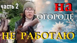 Как сделать землю плодородной малоуходный огород часть 2