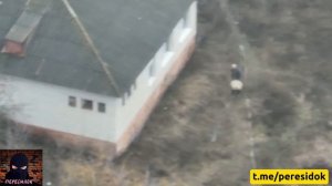 Хохол показал зад нашему дроноводу (мгновенная карма)