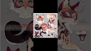 лсп -верх вниз клип коты воители||давайте наберём 50 подписчиков?или больше.👉👈||