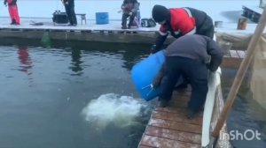 document_5350398158293731603