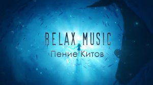 Исцеляющее Пение Китов для снятия напряжения