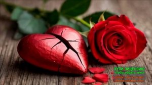 ОНА РОЗА С ШИПАМИ...