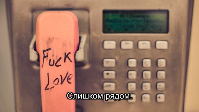 Пропавшая свадьба: Открытие после 12 лет в Приокском заповеднике (Часть 7) смотреть онлайн