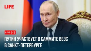 Путин участвует в саммите ВЕЭС в Санкт-Петербурге