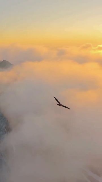 Весна купалась / 2