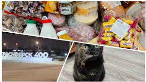 Кто сломал мою игрушку?🤨Покупки для мыши, что повесилась😀