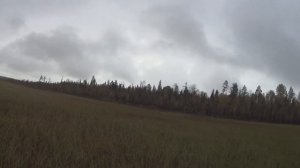 Сбор клюквы. Осень 2022. День второй.