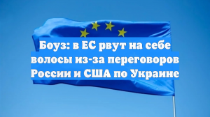 Боуз: в ЕС рвут на себе волосы из-за переговоров России и США по Украине
