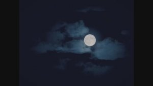 Наследники Ван Хельсинга Проклятие Дракулы