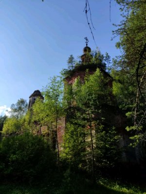 шастаем с камерой по заброшкам в лесу