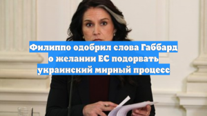 Филиппо одобрил слова Габбард о желании ЕС подорвать украинский мирный процесс