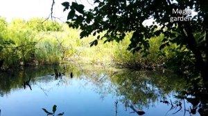 Чистые пруды  - Саксофонист Сергей Овчинников @Magic-Garden