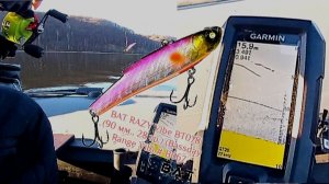 ловля в отвес с лодки (настраиваем эхолот Garmin Vivid 4)