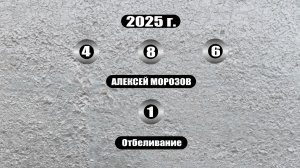 Мой 486. Отбеливание корпуса и сборка.