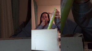 заполняю крысиное логово.