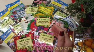 Обзор семян на 2026 г.