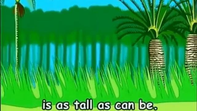 Spotlight 4 - Module 4 Unit 8b - Ex.3 p.64 - Song - The YELLOW Giraffe!